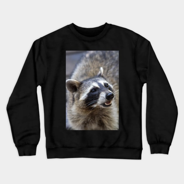 Beautiful Raccoon Print Crewneck Sweatshirt by astonishingemma